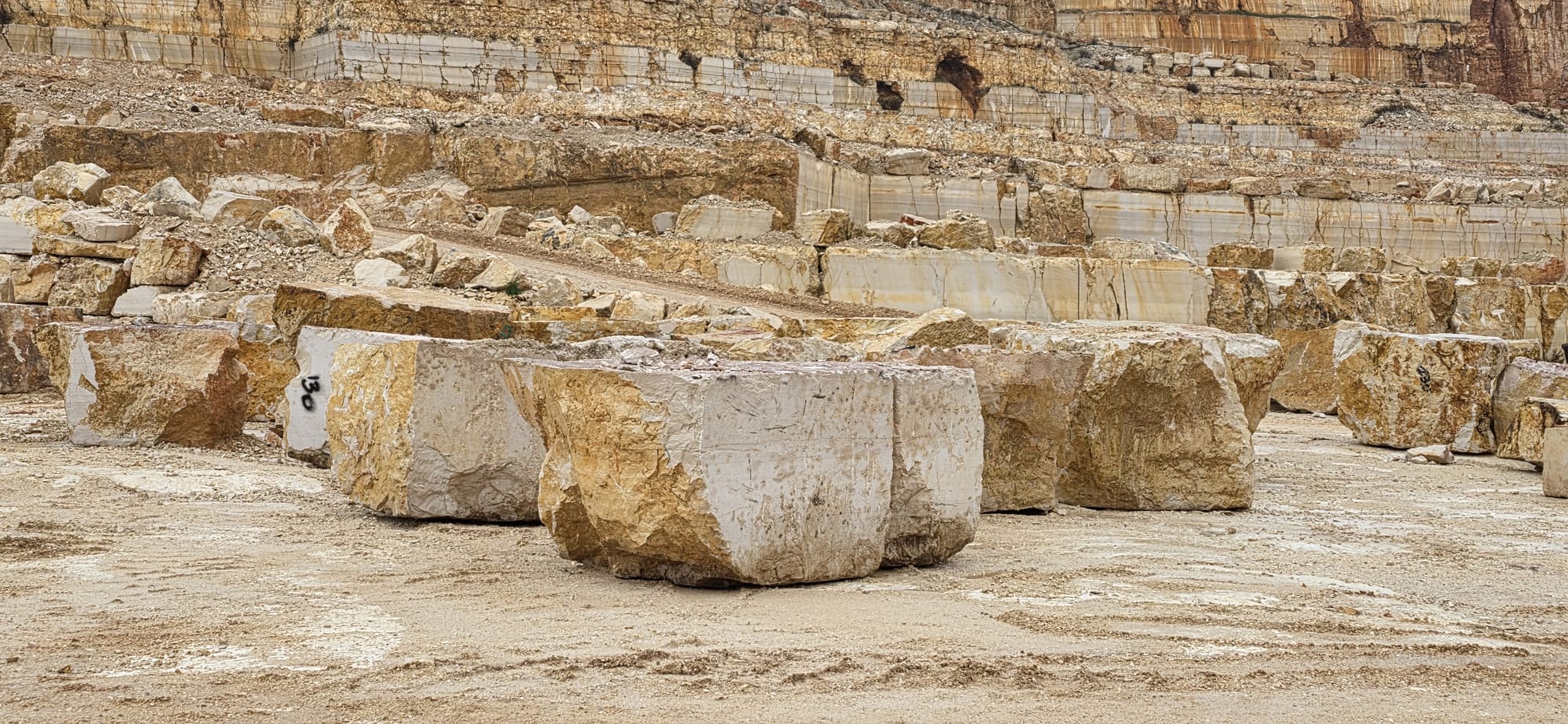 WhatsApp Image 2025-12-04 at 11.13.07 AM