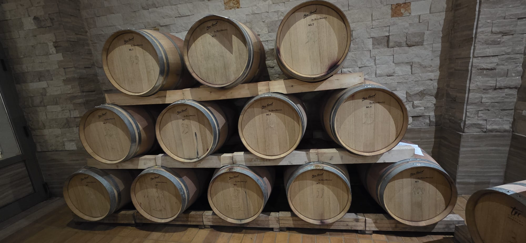 WhatsApp Image 2025-12-04 at 12.59.41 PM