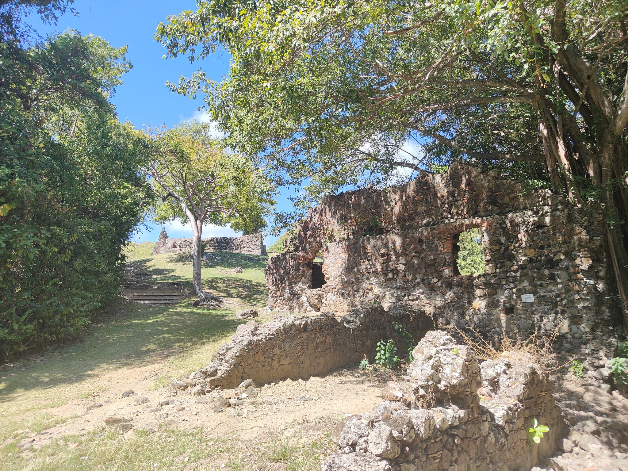 WhatsApp Image 2026-02-09 at 10.54.50 (1)