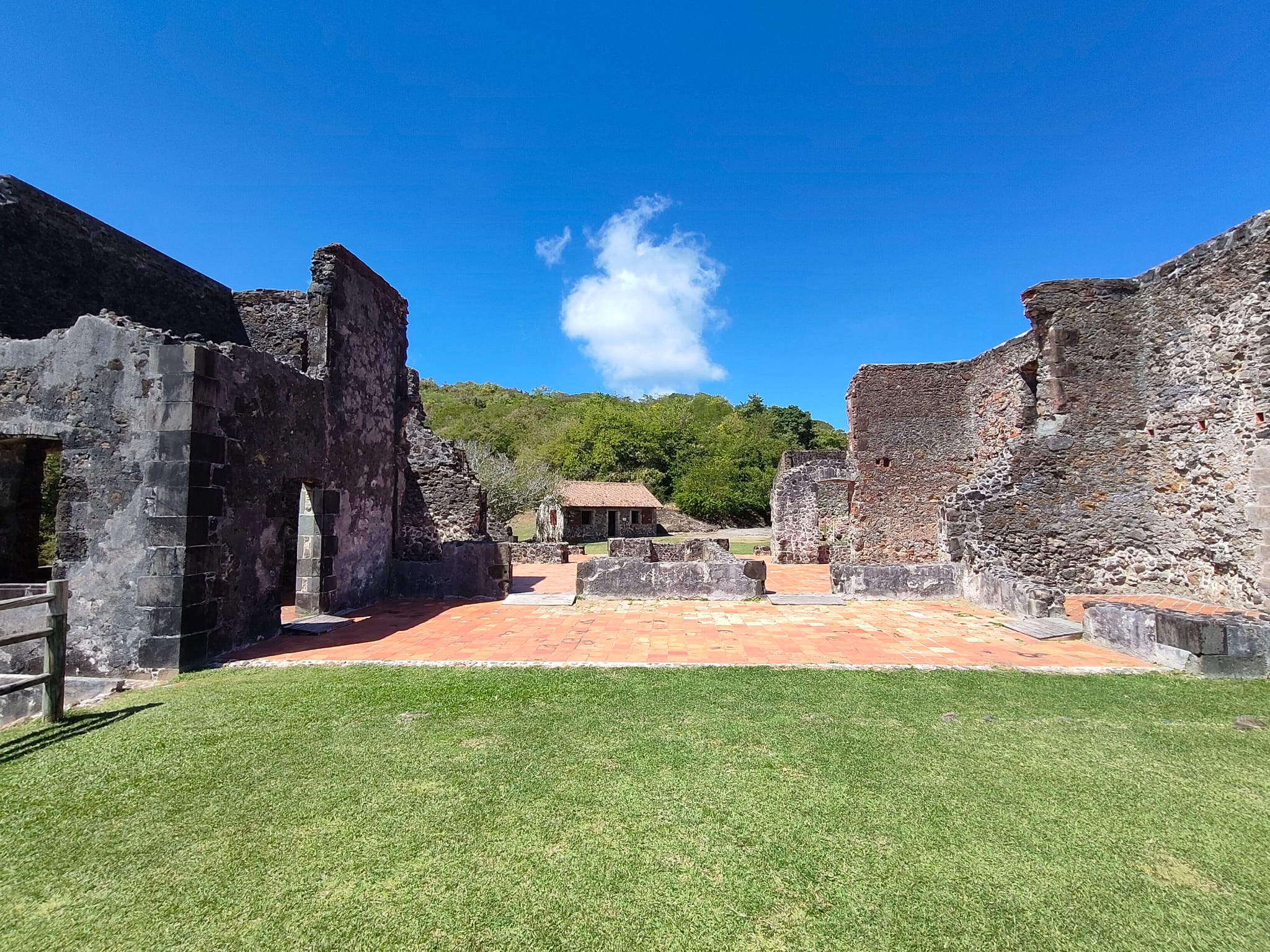 WhatsApp Image 2026-02-09 at 10.54.50 (2)