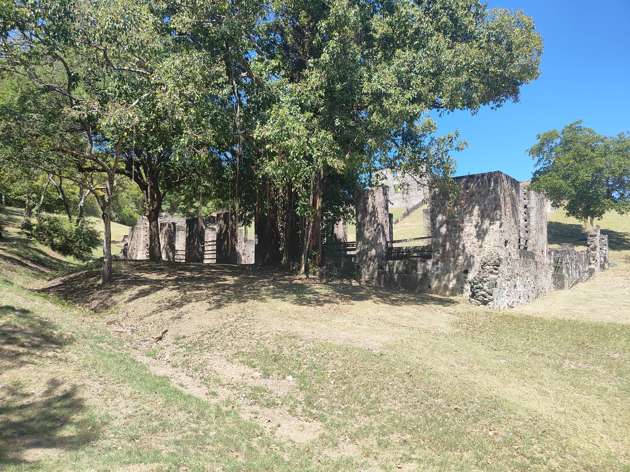 WhatsApp Image 2026-02-09 at 10.54.50